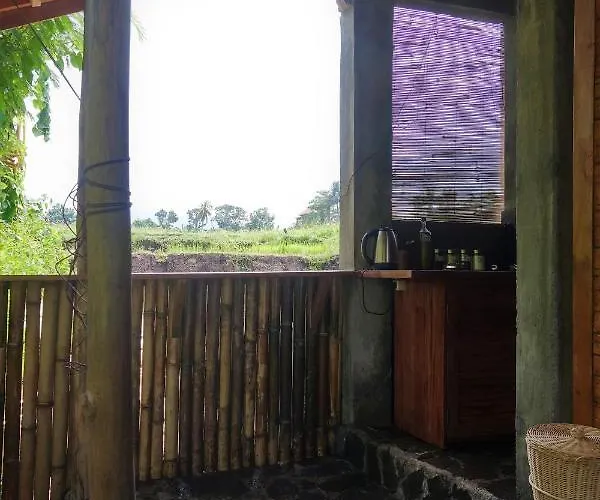 Hightide Surfhouse Hostal *