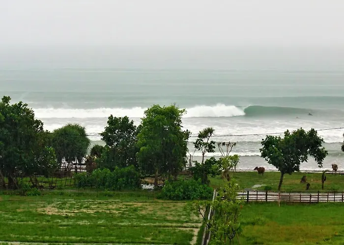 Hightide Surfhouse Hostal *